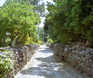 Street in Aragusu Island