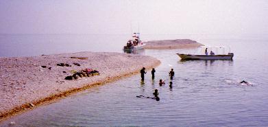 Barasu Island in 1998