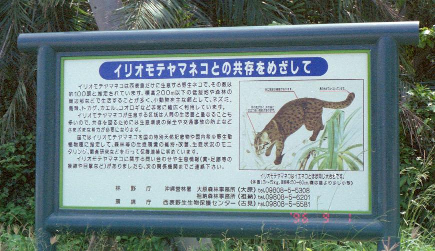 �C���I���e���}�l�R�Ƃ̋������߂�����