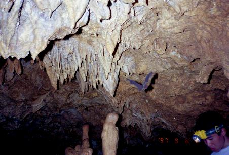 Nakono Cave