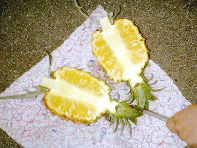 ���ξ���