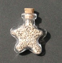 ���`�̐����{�g��