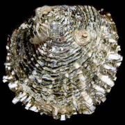 �N���`���E�K�C�i���k�O�ʁj