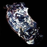 �j���g���K�L