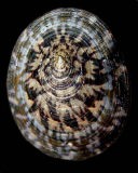 �I�I�x�b�R�E�K�T