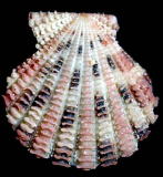 �I�I�V�}�q�I�E�M�i���k�j