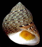 �n�i�_�^�~