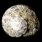 �I�I�x�\�X�K�C�i��ʁj