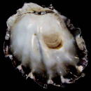 �J�L�c�o�^�i�E�k���ʁj