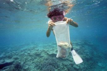 �����ł��L�͍̂��