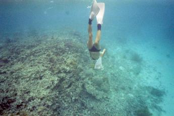 �킸�������[�g�������΁E�E�E